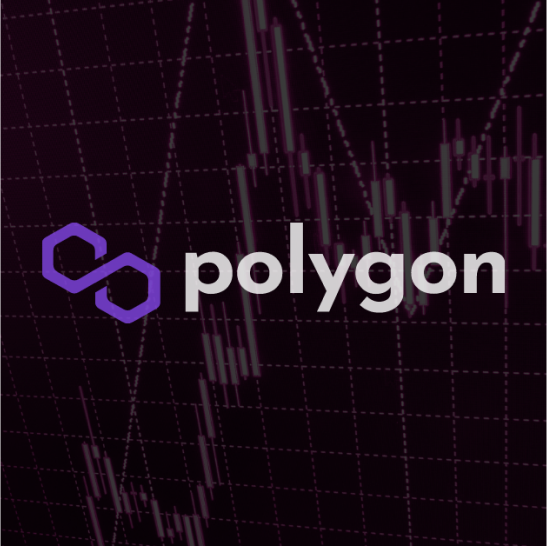 Polygon Token Development Company